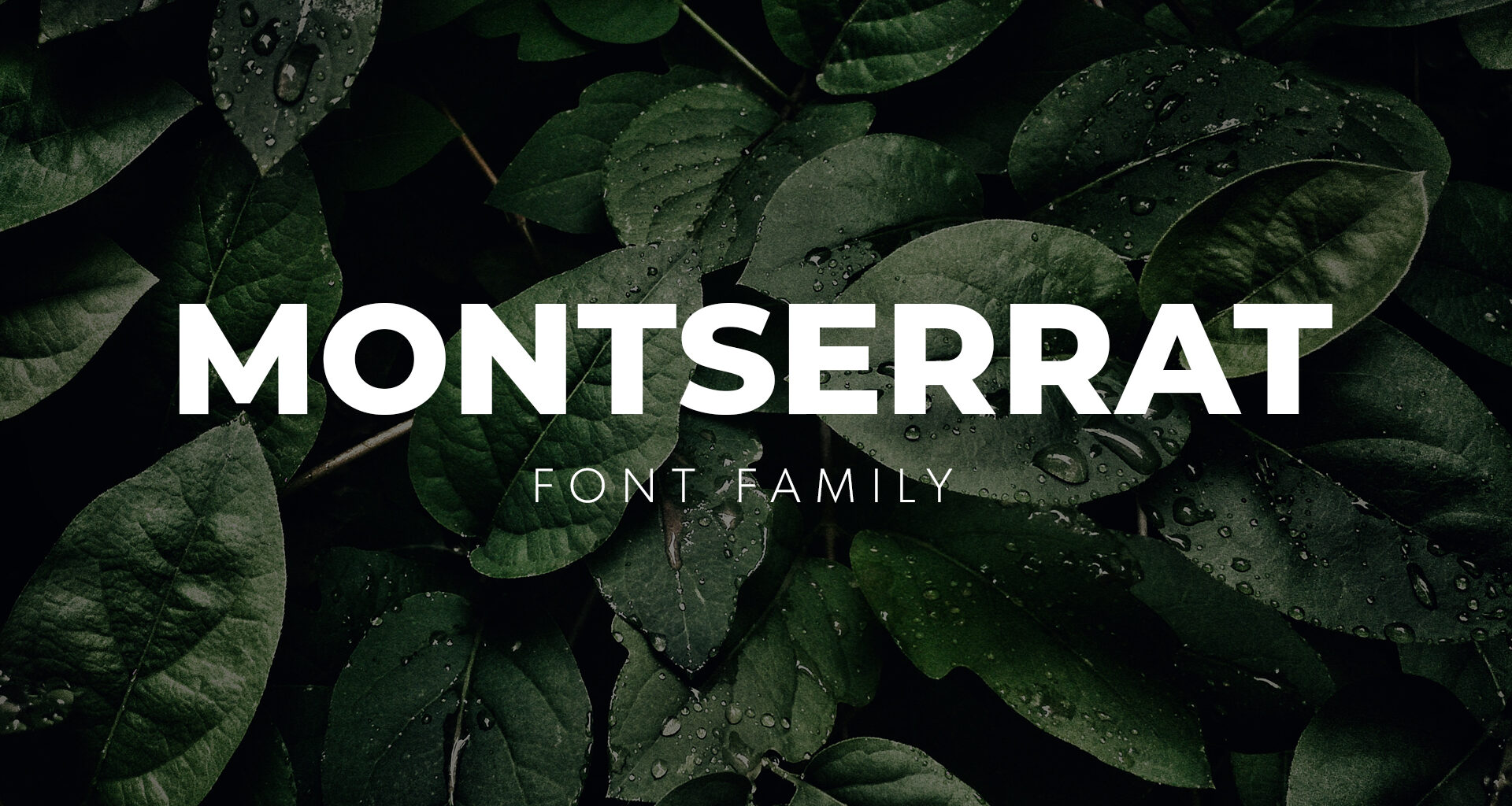 montserrat font free download for illustrator