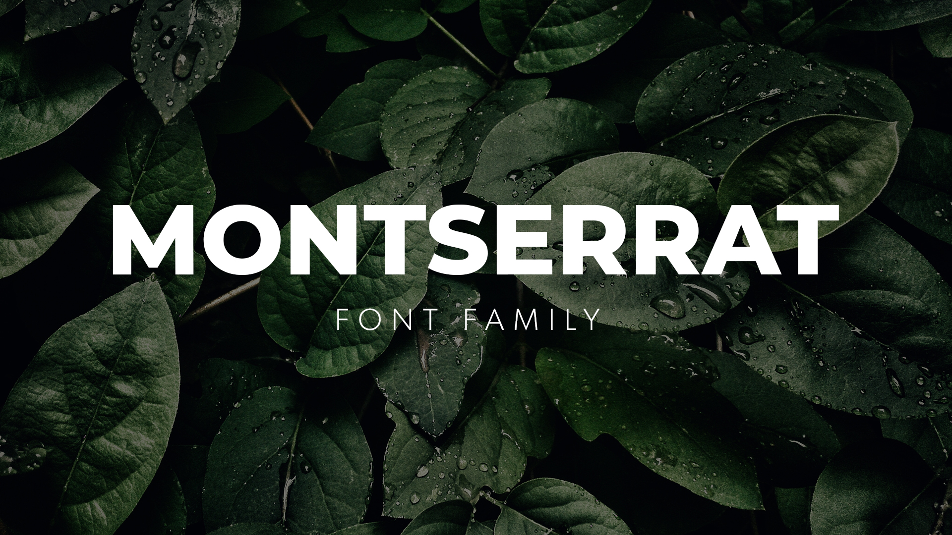 download montserrat font for illustrator